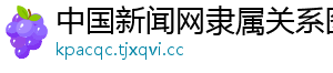 中国新闻网隶属关系图表